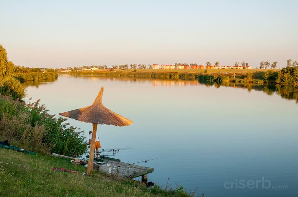 anul ce-a trecut... - 1185820101518194704348861806463292n.jpg